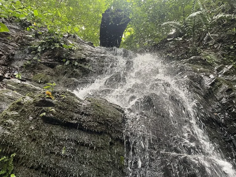 TROPICAL MASTERPIECE – 61.78 ACRES OF OCEANVIEW BLISS WITH WATERFALL: Mountain Development Parcel For Sale in Tres Rios, photo 5