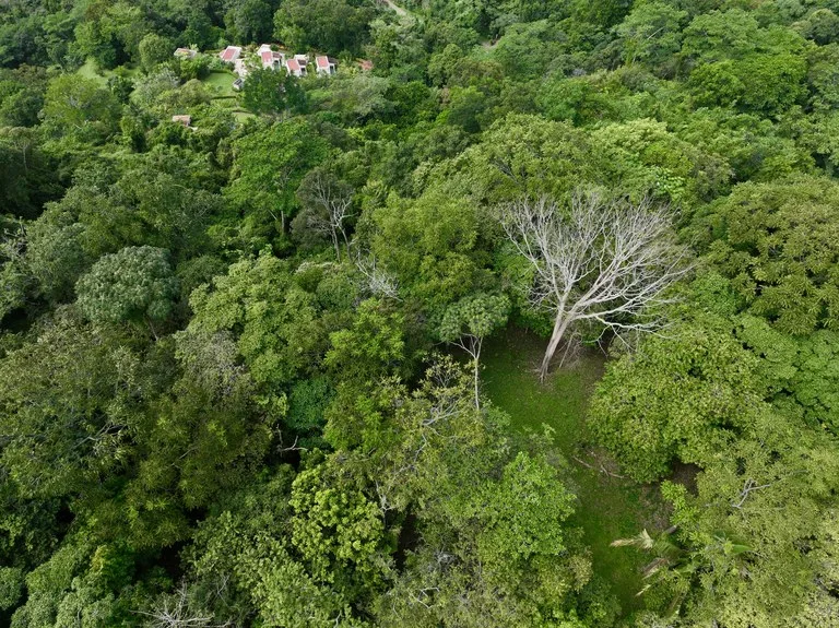 TROPICAL MASTERPIECE – 61.78 ACRES OF OCEANVIEW BLISS WITH WATERFALL: Mountain Development Parcel For Sale in Tres Rios, photo 8