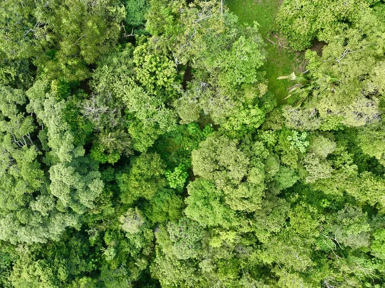 TROPICAL MASTERPIECE – 61.78 ACRES OF OCEANVIEW BLISS WITH WATERFALL: Mountain Development Parcel For Sale in Tres Rios, photo 9