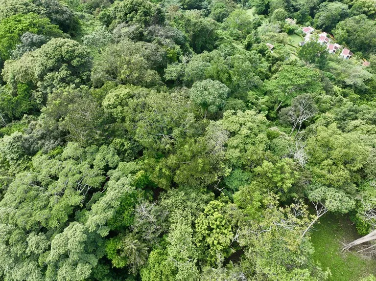 TROPICAL MASTERPIECE – 61.78 ACRES OF OCEANVIEW BLISS WITH WATERFALL: Mountain Development Parcel For Sale in Tres Rios, photo 10