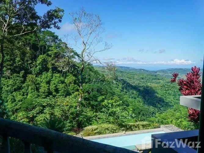 3 Bedroom House for Sale in Perez Zeledon, San Jose for $565,000, photo 5