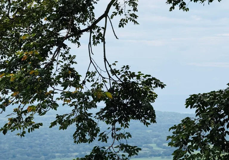 Ocean View Farm for Sale Guanacaste Costa Rica Playa Coyote, photo 2