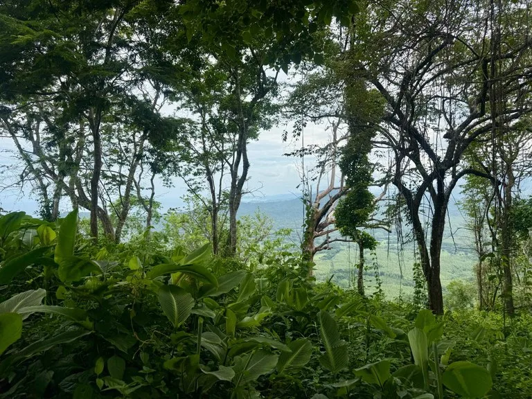 Ocean View Farm for Sale Guanacaste Costa Rica Playa Coyote, photo 11