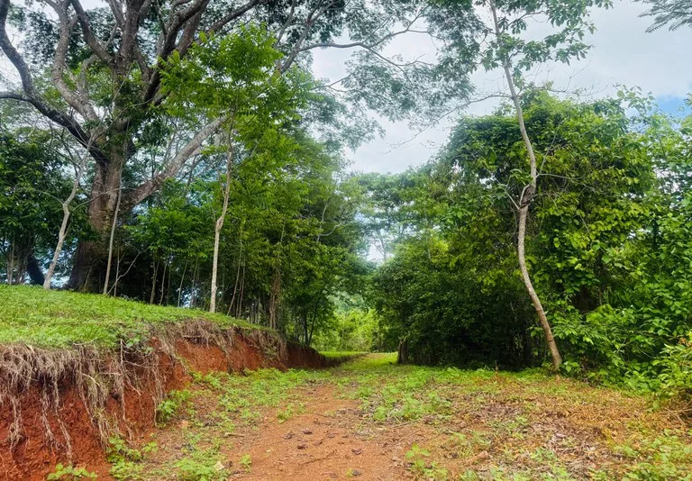 Ocean View Farm for Sale Guanacaste Costa Rica Playa Coyote, photo 12