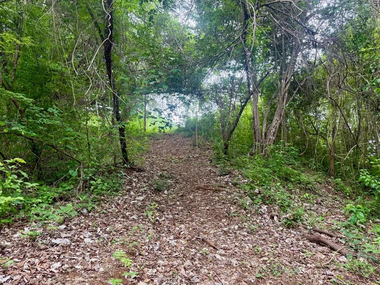 Ocean View Farm for Sale Guanacaste Costa Rica Playa Coyote, photo 13