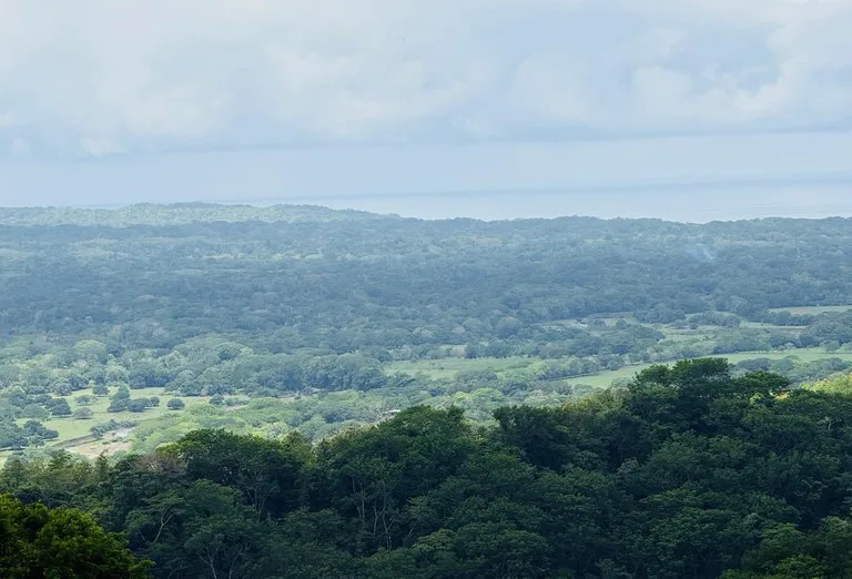 Ocean View Farm for Sale Guanacaste Costa Rica Playa Coyote, photo 14