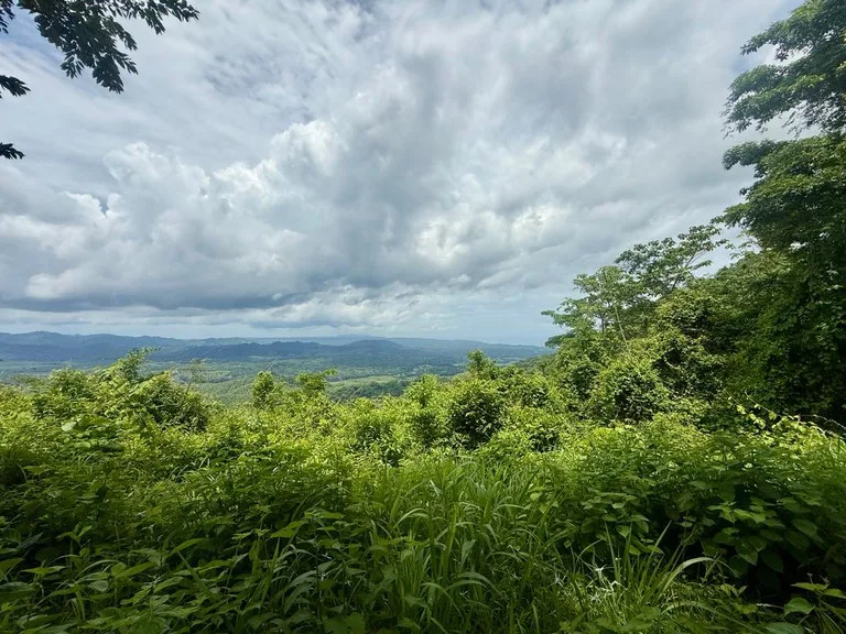Ocean View Farm for Sale Guanacaste Costa Rica Playa Coyote, photo 3