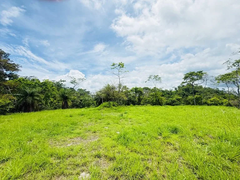 Ocean View Farm for Sale Guanacaste Costa Rica Playa Coyote, photo 4