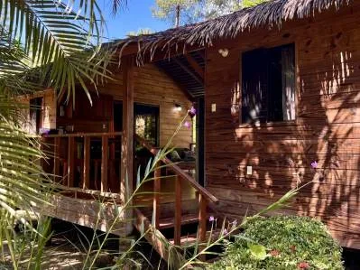 TROPICAL WOODEN STILT HOME IN OJOCHAL – RUSTIC CHARM & INVESTMENT POTENTIAL – 0.5 ACRES, photo 28