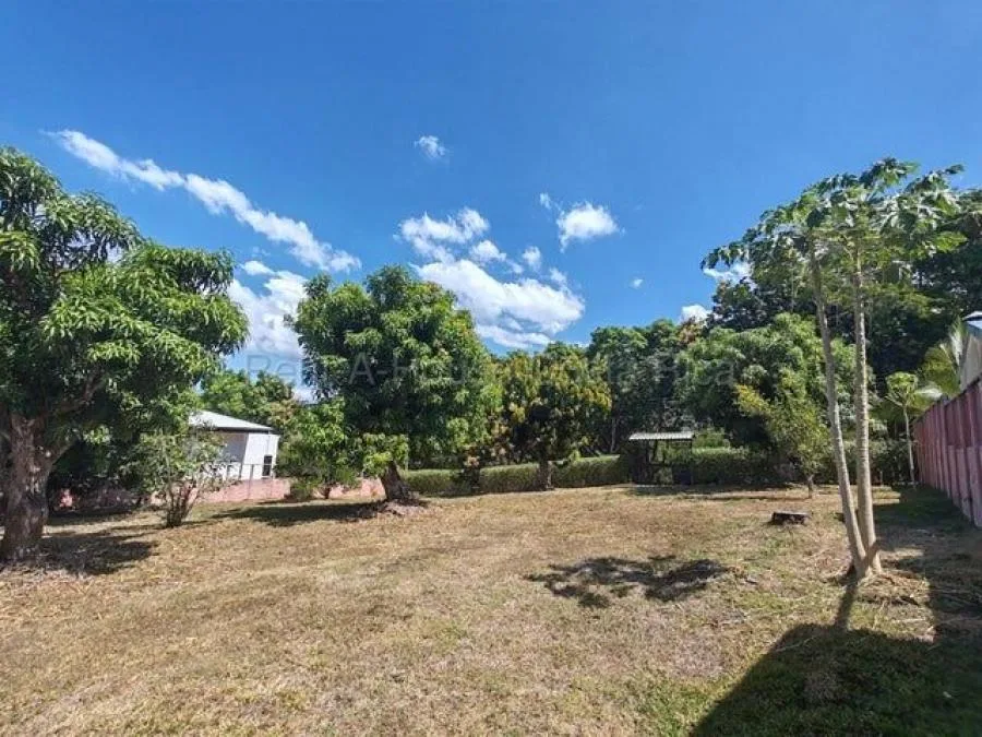 MLS-26-1634 LS VENTA LOTE OROTINA ALAJUELA - Venta en Orotina