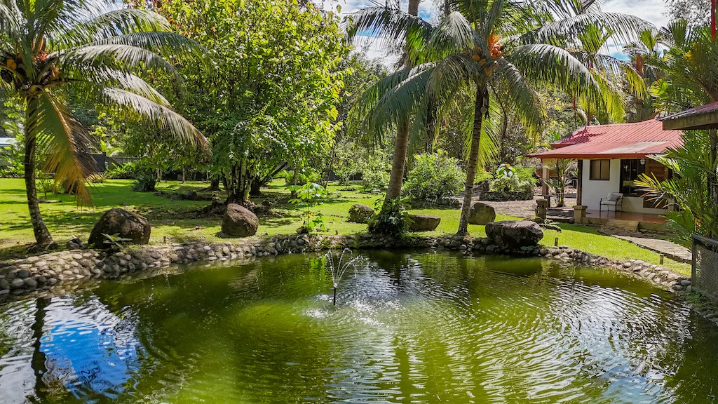 RIVERFRONT PROPERTY WITH 3 BEDROOM HOME AND HUGE GARDEN AREA, photo 4