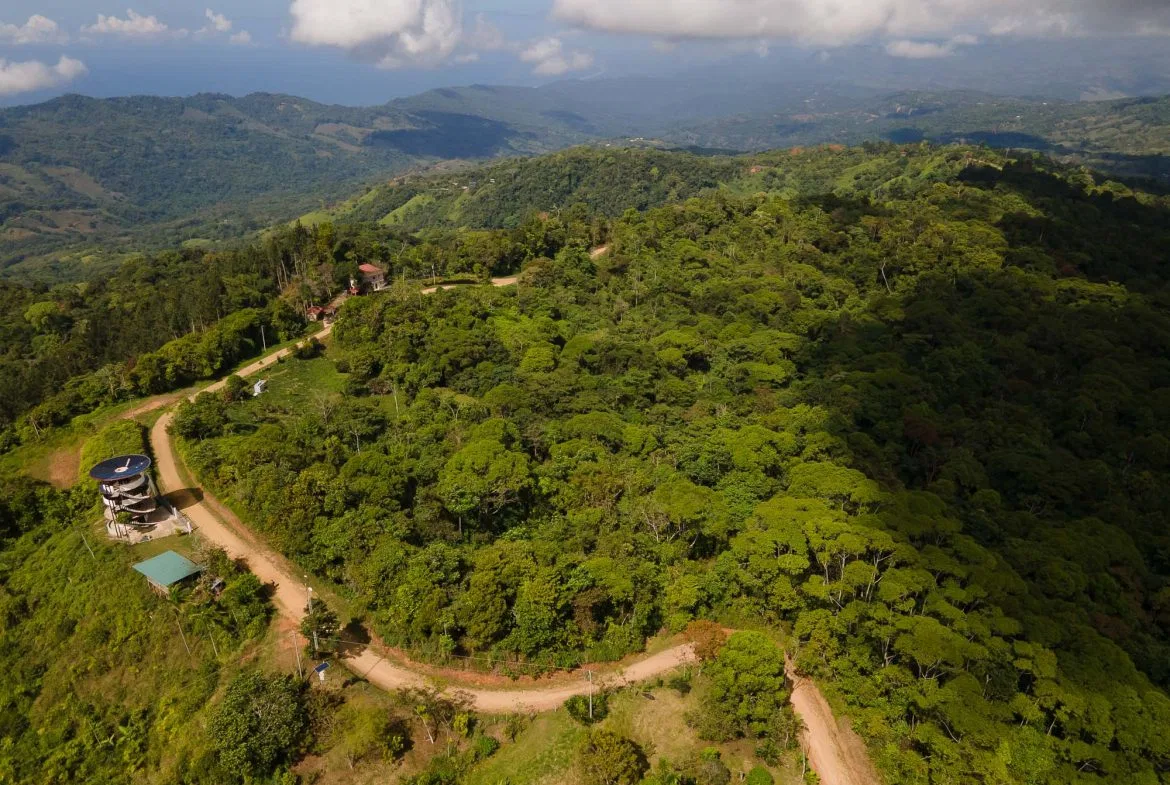LARGE LAND IN LA FLORIDA DE BARU, OFFERING NATURE’S EMBRACE AND ENDLESS POSSIBILITIES – 264 ACRES, photo 2