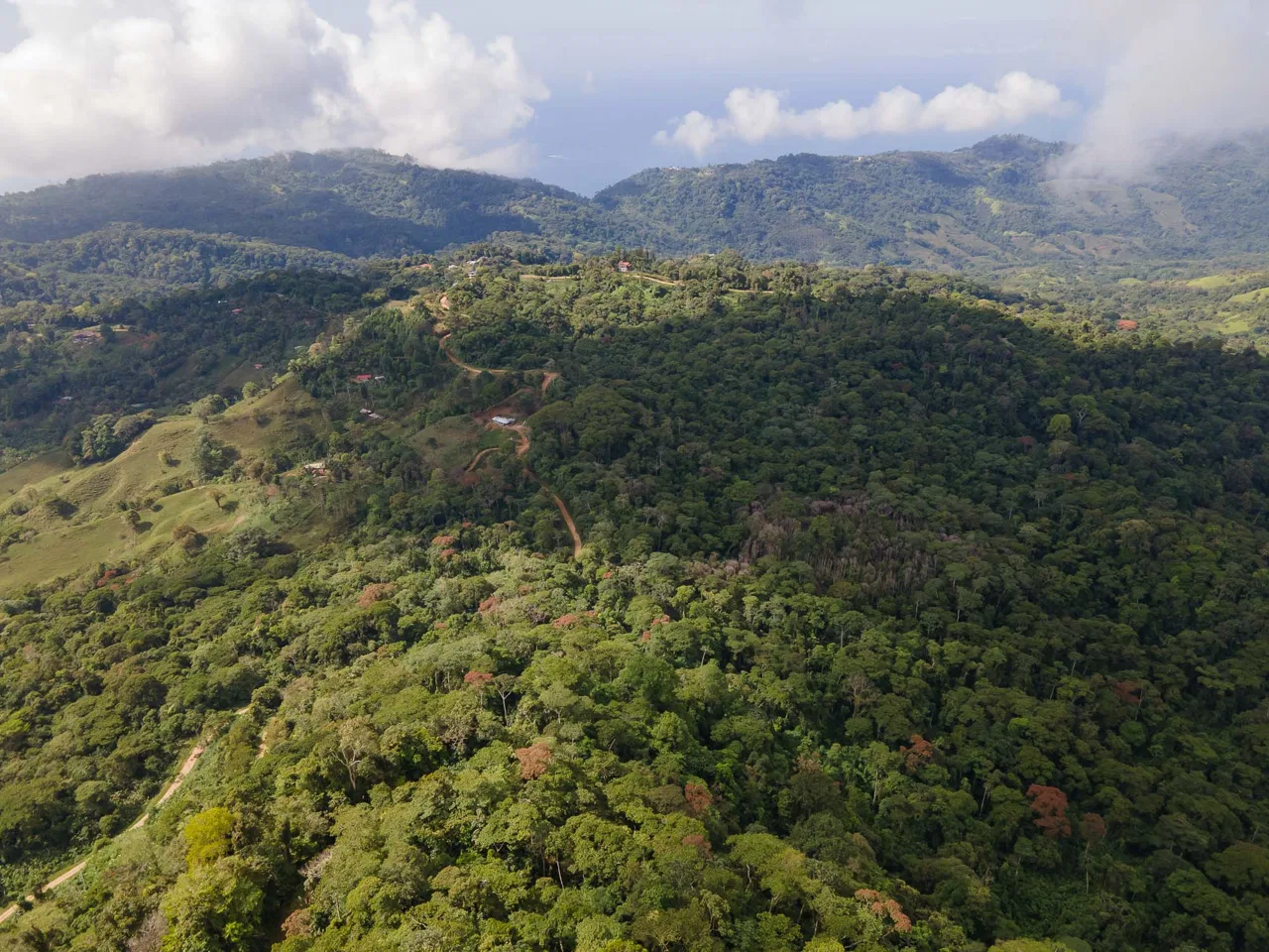 LARGE LAND IN LA FLORIDA DE BARU, OFFERING NATURE’S EMBRACE AND ENDLESS POSSIBILITIES – 264 ACRES, photo 11