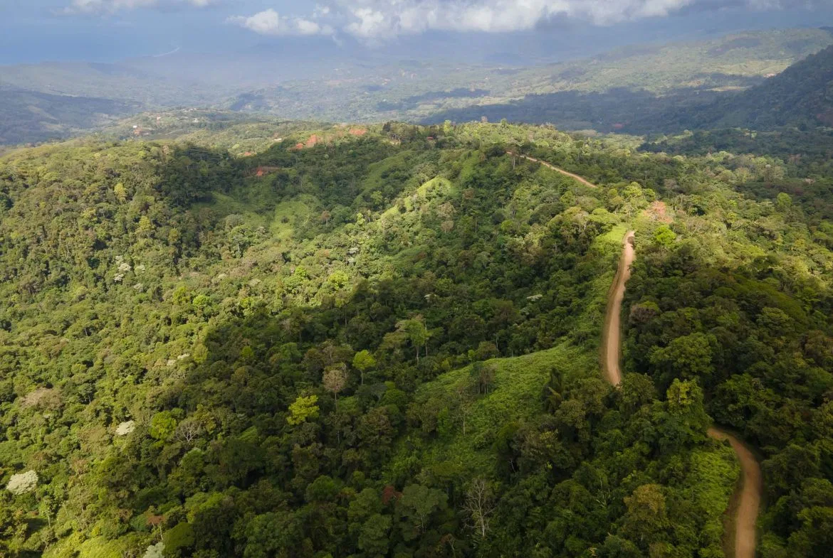 LARGE LAND IN LA FLORIDA DE BARU, OFFERING NATURE’S EMBRACE AND ENDLESS POSSIBILITIES – 264 ACRES, photo 14