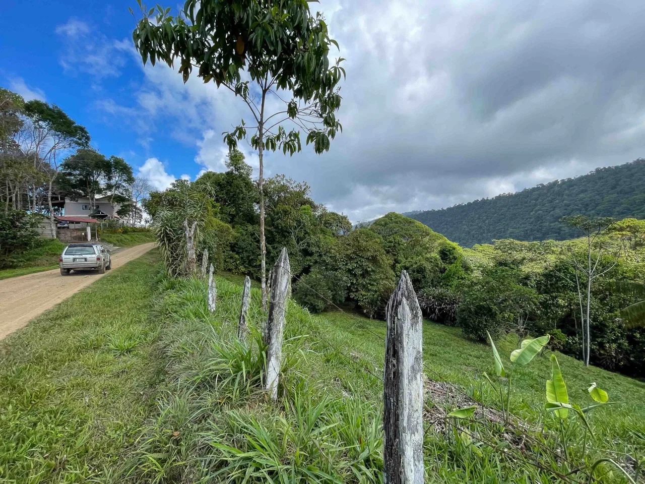 LARGE LAND IN LA FLORIDA DE BARU, OFFERING NATURE’S EMBRACE AND ENDLESS POSSIBILITIES – 264 ACRES, photo 15