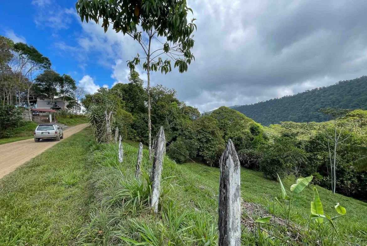 LARGE LAND IN LA FLORIDA DE BARU, OFFERING NATURE’S EMBRACE AND ENDLESS POSSIBILITIES – 264 ACRES, photo 16