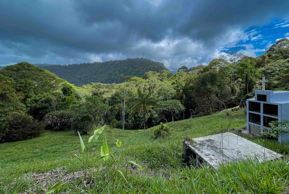 LARGE LAND IN LA FLORIDA DE BARU, OFFERING NATURE’S EMBRACE AND ENDLESS POSSIBILITIES – 264 ACRES, photo 18