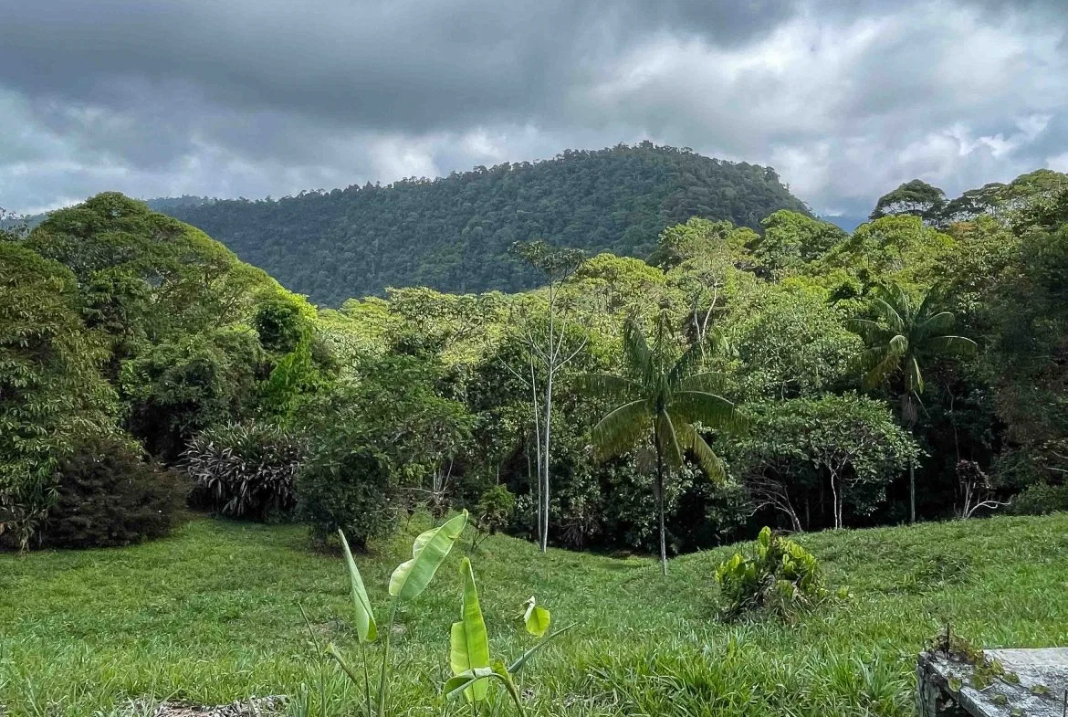 LARGE LAND IN LA FLORIDA DE BARU, OFFERING NATURE’S EMBRACE AND ENDLESS POSSIBILITIES – 264 ACRES, photo 20