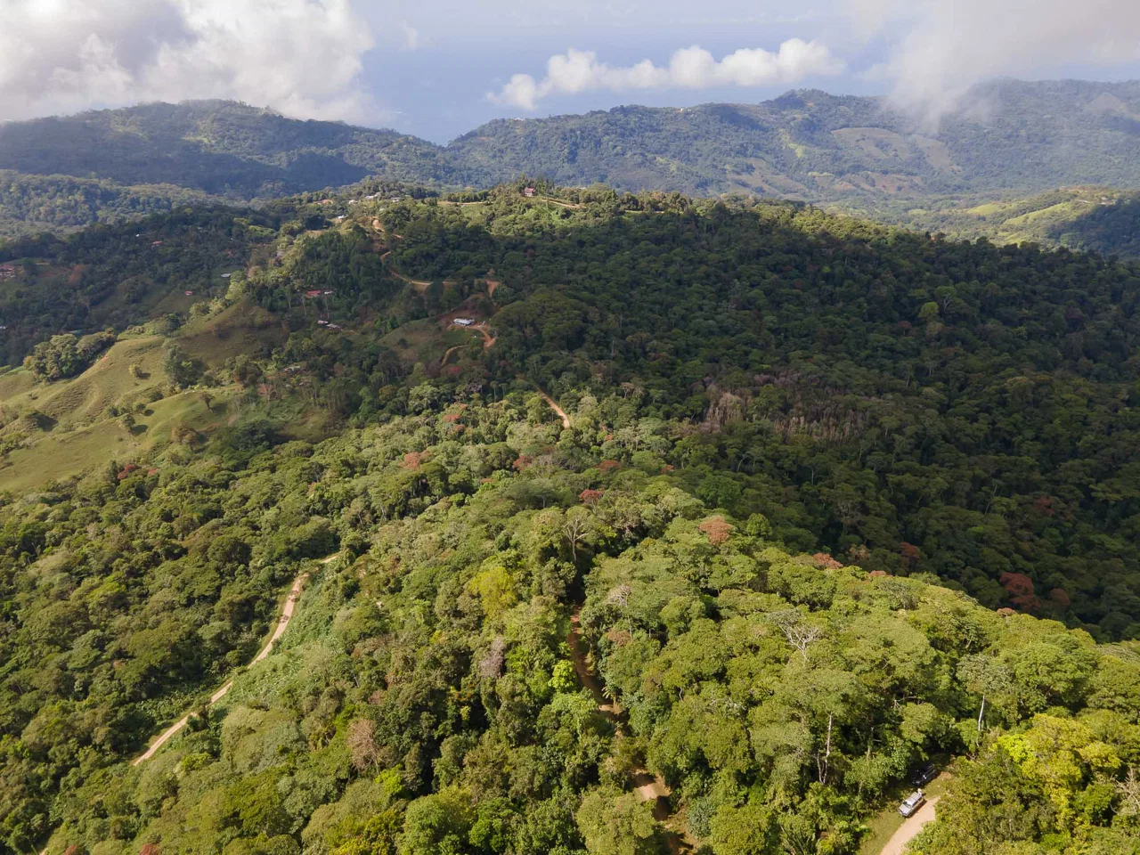 LARGE LAND IN LA FLORIDA DE BARU, OFFERING NATURE’S EMBRACE AND ENDLESS POSSIBILITIES – 264 ACRES, photo 9