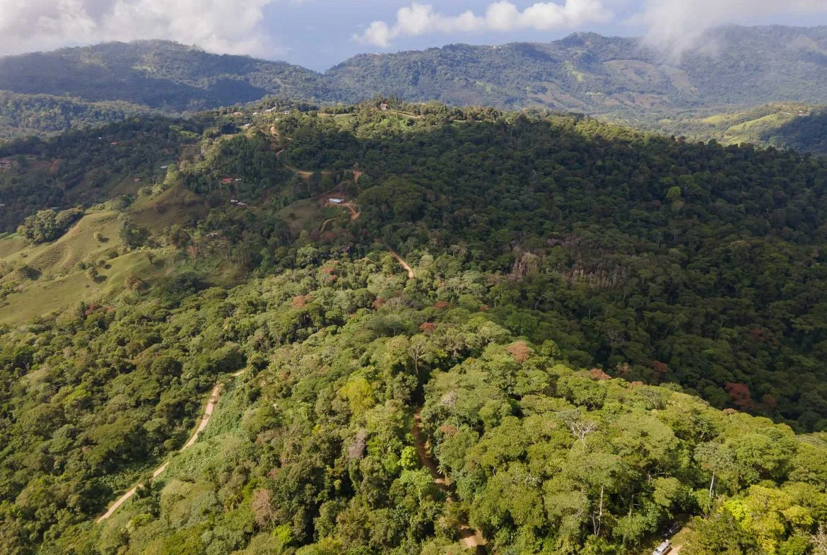 LARGE LAND IN LA FLORIDA DE BARU, OFFERING NATURE’S EMBRACE AND ENDLESS POSSIBILITIES – 264 ACRES, photo 10