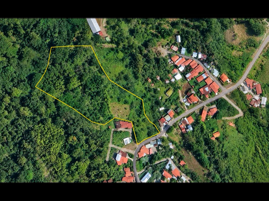 Propiedad de 20.000 m² en venta – Candelaria de Palmares, photo 3