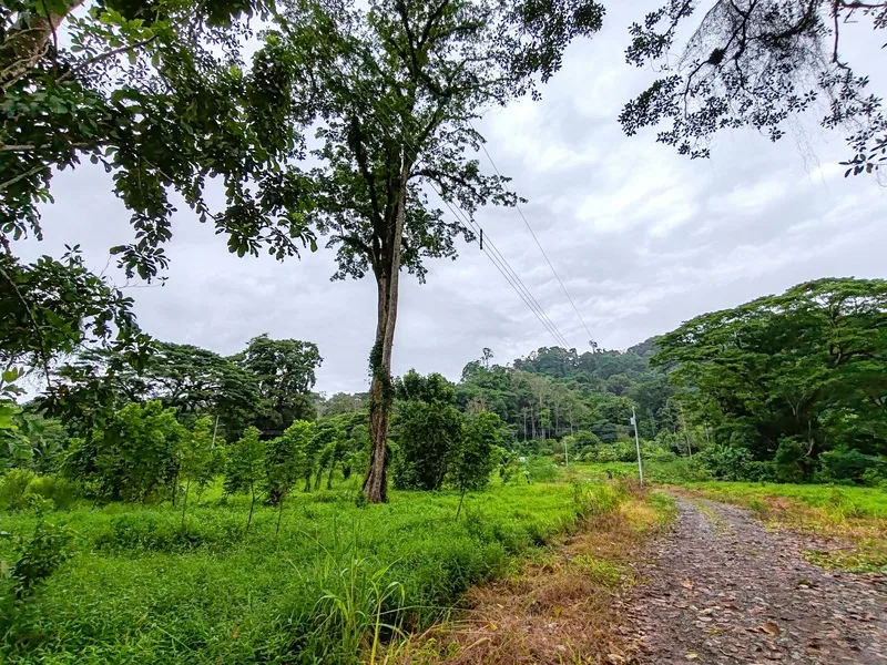 Land For Sale in Puerto Viejo