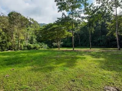 Propiedad tipo parque en venta en la montaña de San Buenas rodeada de dos ríos, photo 5