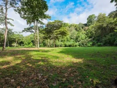 Propiedad tipo parque en venta en la montaña de San Buenas rodeada de dos ríos, photo 6