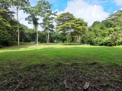 Propiedad tipo parque en venta en la montaña de San Buenas rodeada de dos ríos, photo 7