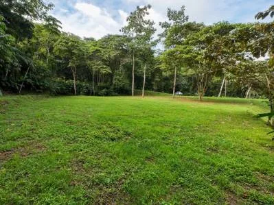 Propiedad tipo parque en venta en la montaña de San Buenas rodeada de dos ríos, photo 8