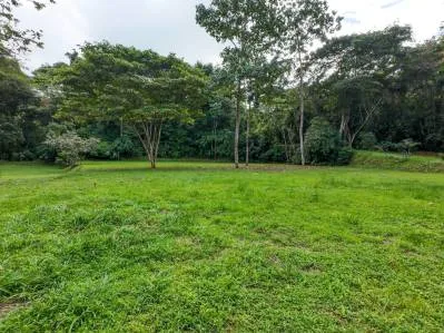 Propiedad tipo parque en venta en la montaña de San Buenas rodeada de dos ríos, photo 9