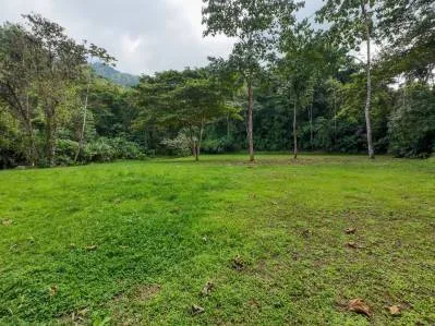 Propiedad tipo parque en venta en la montaña de San Buenas rodeada de dos ríos, photo 10