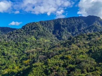 Casa con vista al mar, la selva y la montaña en Ojochal | Entorno selvático protegido, photo 9