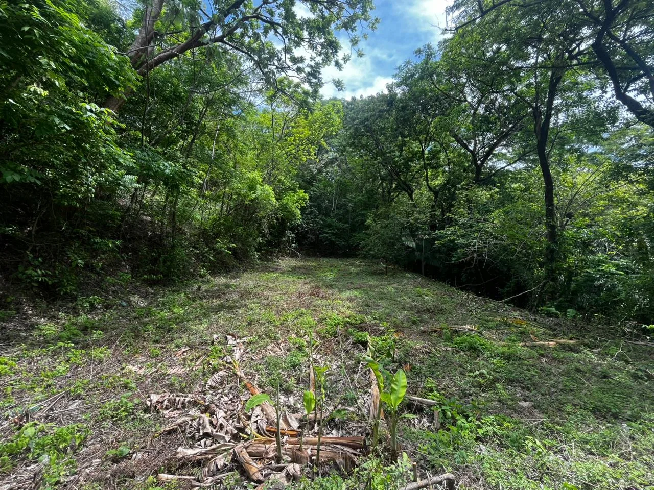 Green Haven Lot
