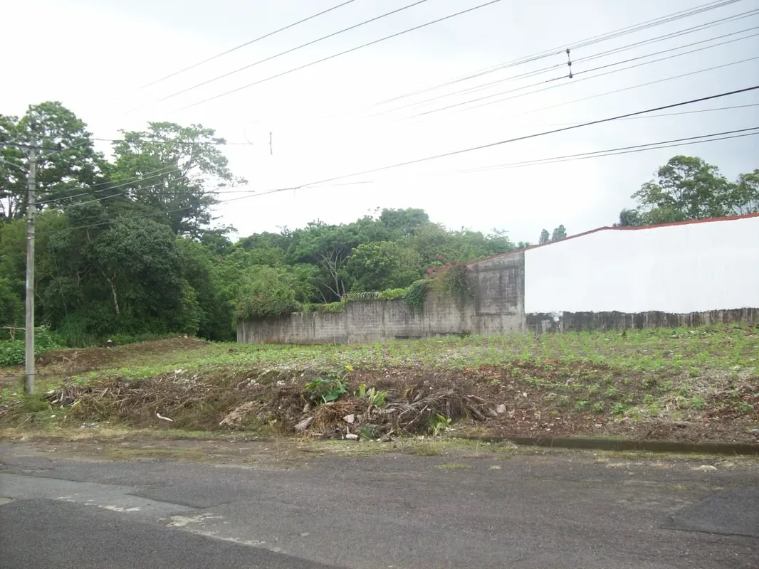 Se venden dos lindos lotes en residencial Lomas de Ayarco de Curridabat, topografía plana, uno esquinero y el otro colindante.