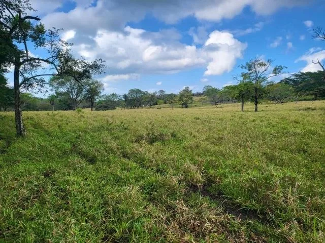Charming property for sale in Nueva Guatemala with stunning views of the Tenorio Volcano and the beautiful green valleys, photo 2