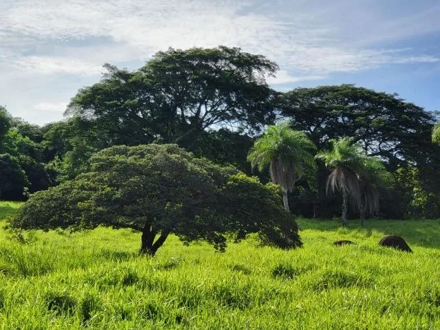 Charming property for sale in Nueva Guatemala with stunning views of the Tenorio Volcano and the beautiful green valleys, photo 11
