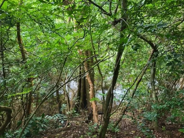 Charming property for sale in Nueva Guatemala with stunning views of the Tenorio Volcano and the beautiful green valleys, photo 4