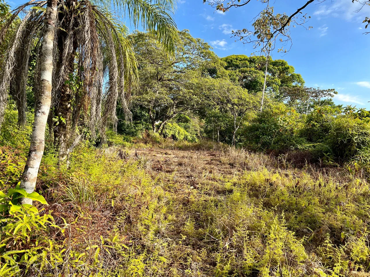 PRIME INVESTMENT OPPORTUNITY: COMMERCIAL FARM WITH HIGHWAY FRONTAGE – 22 ACRES, photo 11