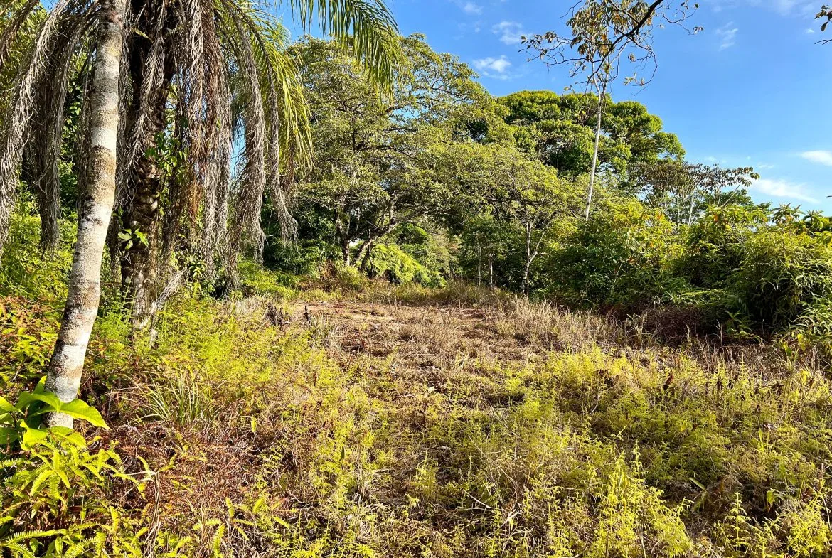PRIME INVESTMENT OPPORTUNITY: COMMERCIAL FARM WITH HIGHWAY FRONTAGE – 22 ACRES, photo 12