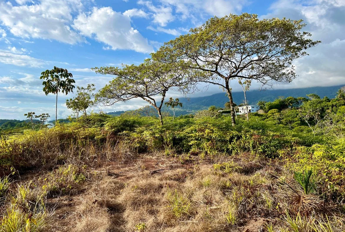 PRIME INVESTMENT OPPORTUNITY: COMMERCIAL FARM WITH HIGHWAY FRONTAGE – 22 ACRES, photo 14