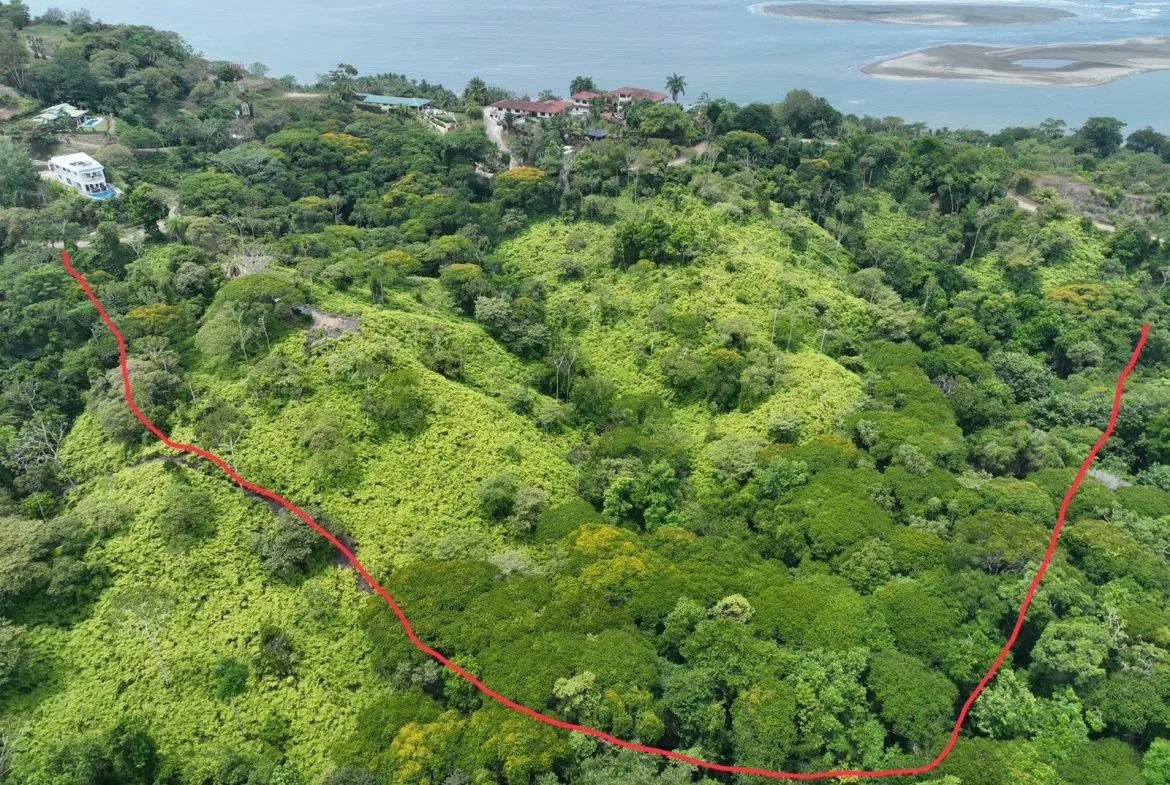 PRIME INVESTMENT OPPORTUNITY: COMMERCIAL FARM WITH HIGHWAY FRONTAGE – 22 ACRES, photo 6