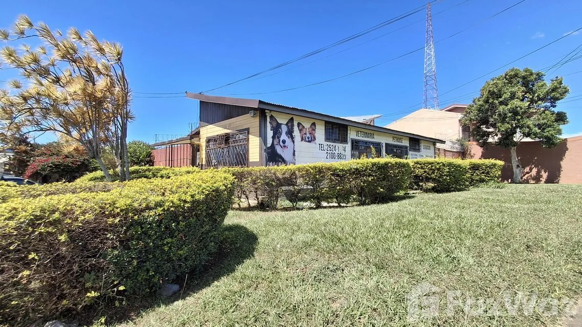 Retail space for Sale at Zapote for $570,000, photo 5