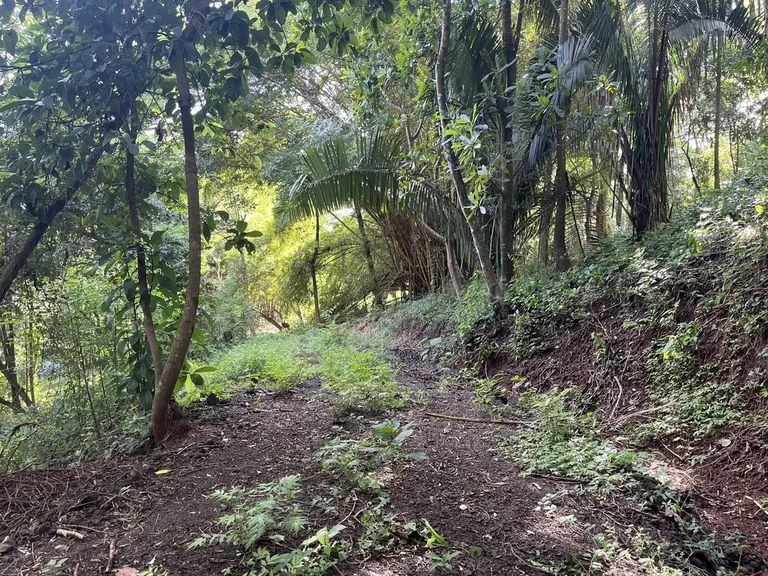 Oceanfront Home Construction Site For Sale in Playa Coyote, photo 14
