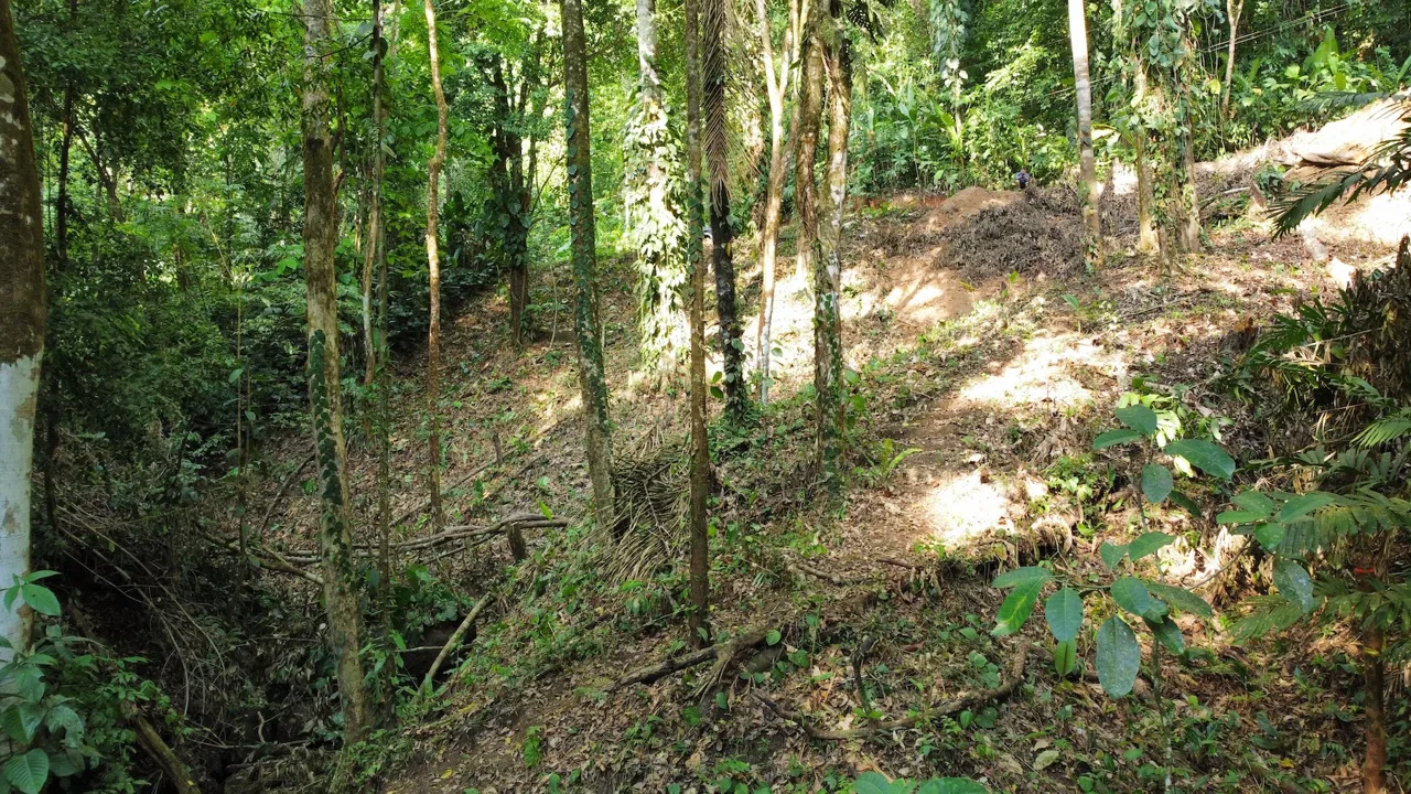 BUILDING PROPERTY IN THE MIDDLE OF THE NATURE IN A GATED COMMUNITY, SAN ANTONIO DAMAS – 1.33 ACRES