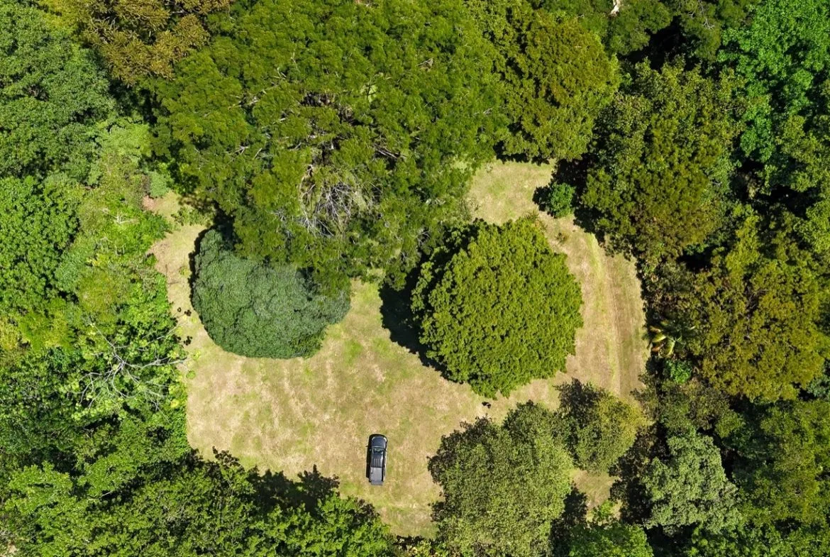 BUILDING MOUNTAIN PROPERTY IN THE MIDDLE OF THE NATURE, IN OJOCHAL – 1.24 ACRES, photo 2