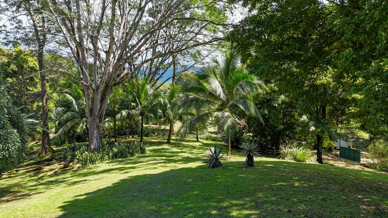 BUILDING MOUNTAIN PROPERTY IN THE MIDDLE OF THE NATURE, IN OJOCHAL – 1.24 ACRES, photo 11