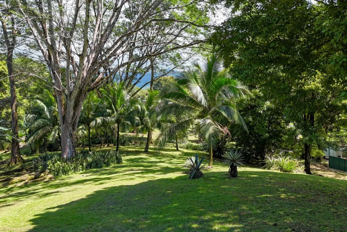 BUILDING MOUNTAIN PROPERTY IN THE MIDDLE OF THE NATURE, IN OJOCHAL – 1.24 ACRES, photo 12