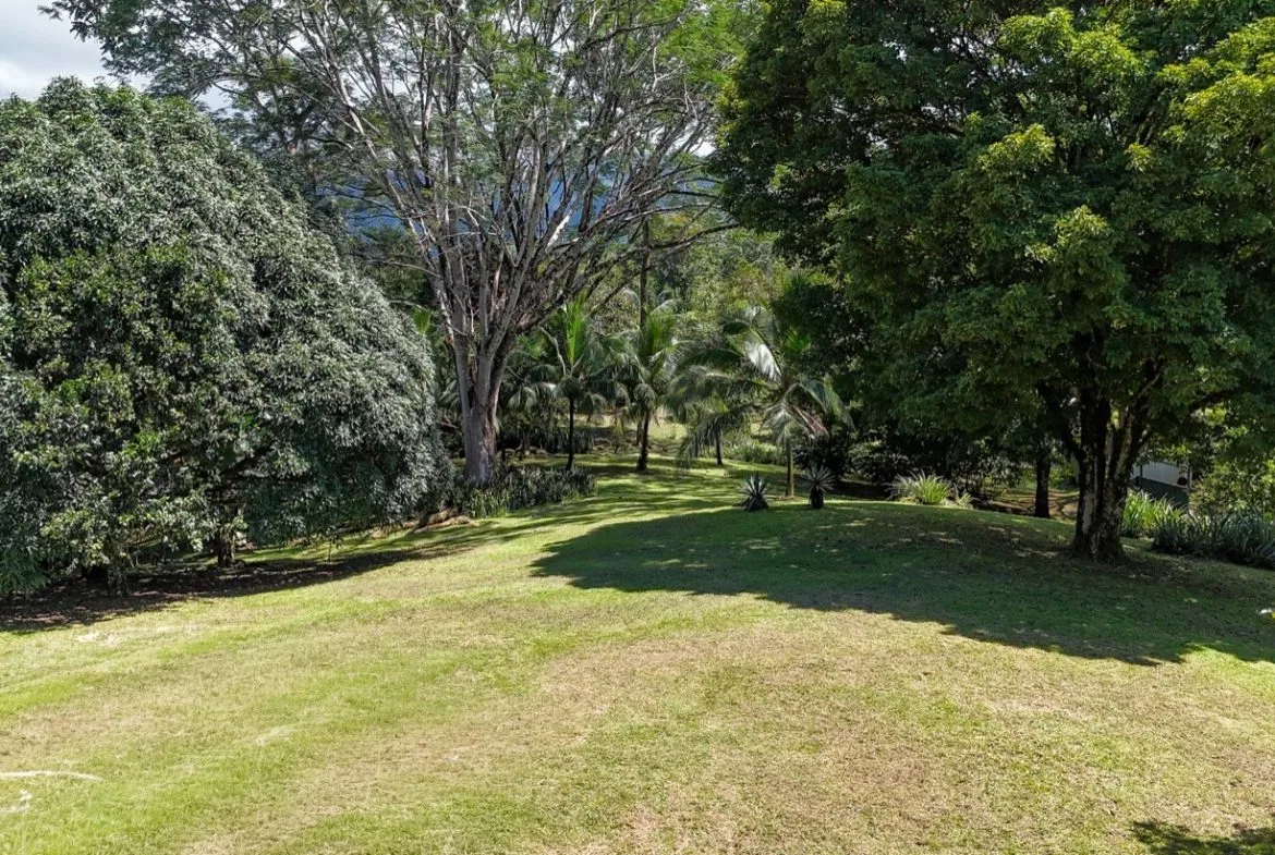 BUILDING MOUNTAIN PROPERTY IN THE MIDDLE OF THE NATURE, IN OJOCHAL – 1.24 ACRES, photo 14