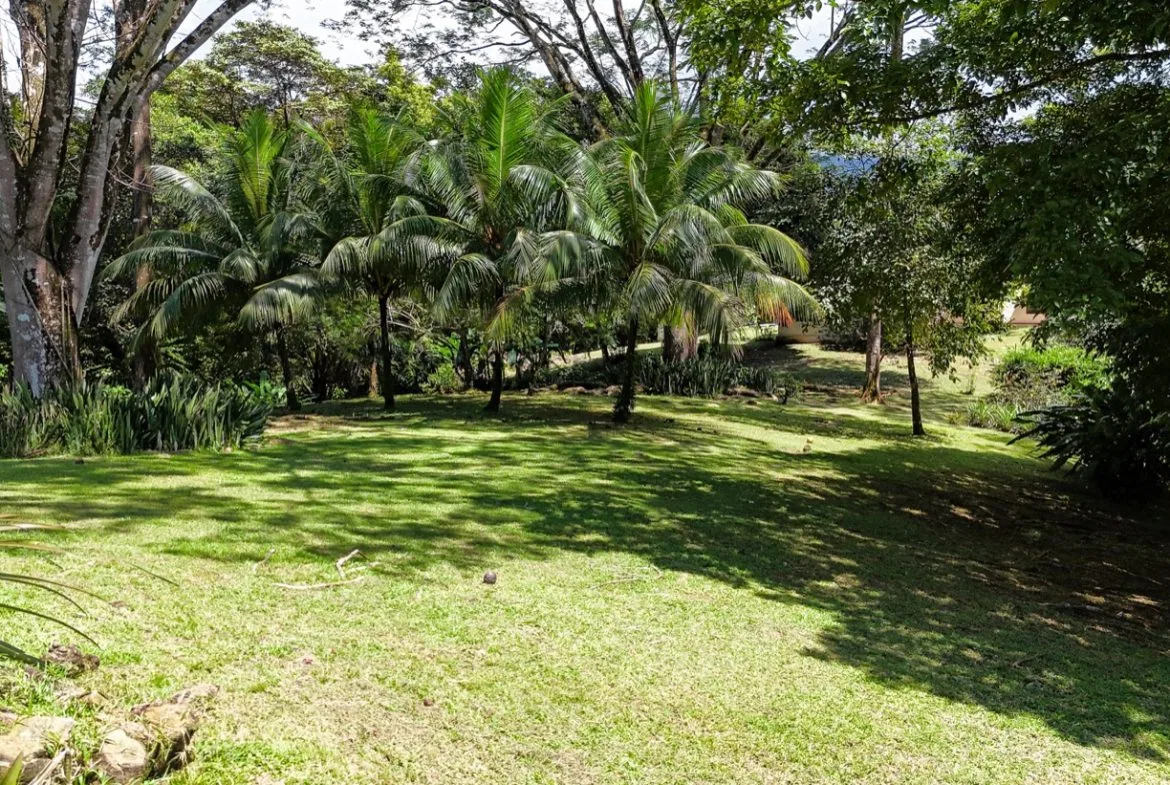 BUILDING MOUNTAIN PROPERTY IN THE MIDDLE OF THE NATURE, IN OJOCHAL – 1.24 ACRES, photo 16